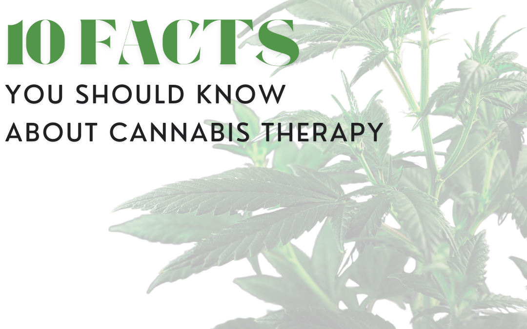 Cannabis Therapy: 10 Facts You Should Know Before You Start