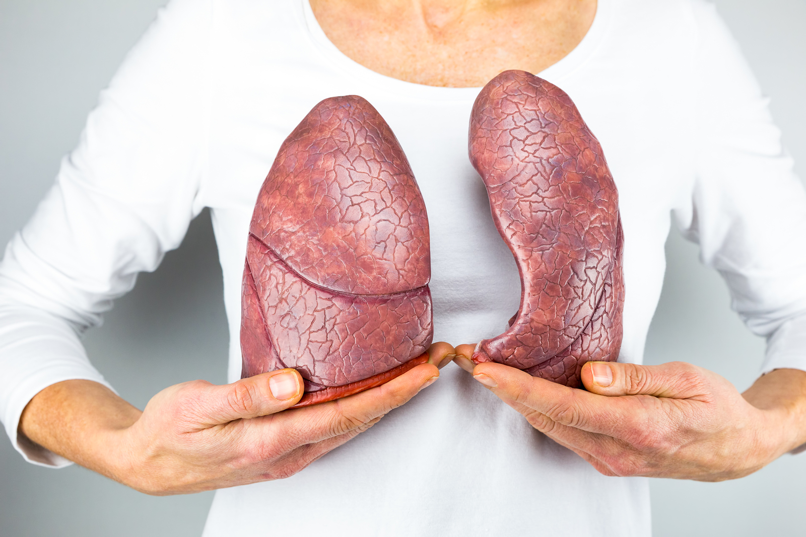 Lungs Smoking Respiratory - The Truth Behind 3 Marijuana Myths
