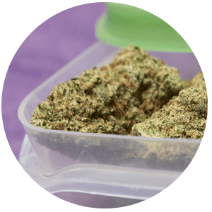 renew - Massachusetts Medical Marijuana Guide