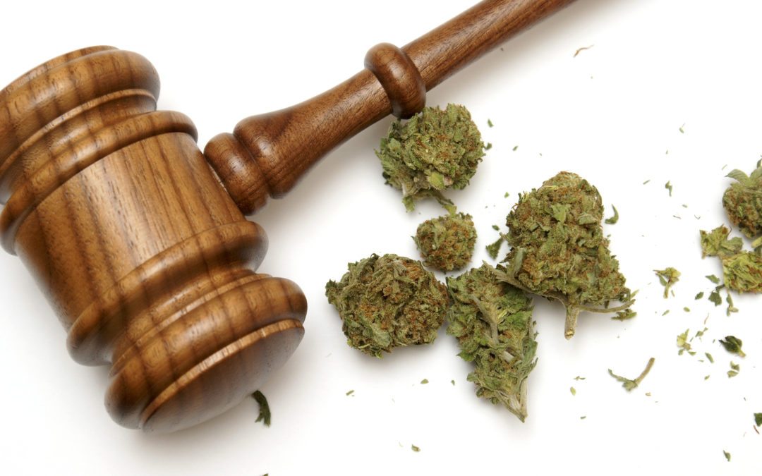Why Doctors Think Marijuana Should Be Legalized