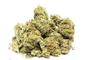 bigstock Marijuana 62264390 300x206 - How to Eliminate the Smell of Marijuana