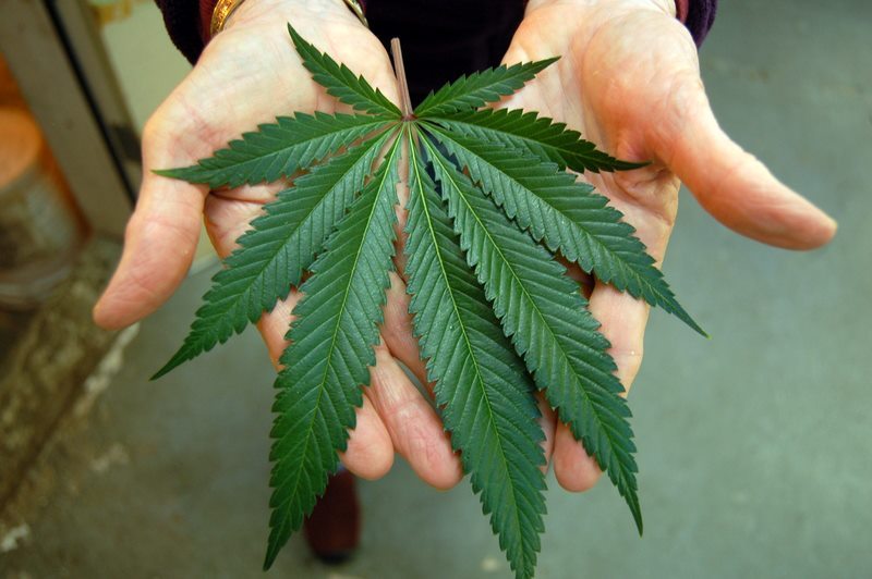 Could I Become Addicted to Medical Marijuana?