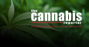 thecannabisreporter - In the News