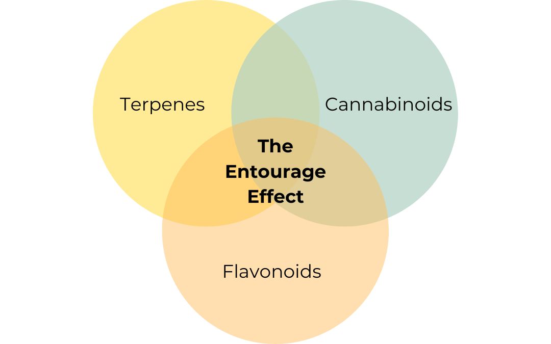 What Is the Cannabis Entourage Effect and What Does It Mean to Me?