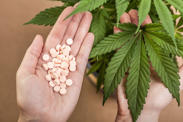 Can You Safely Use Medical Marijuana while Taking Prednisone?